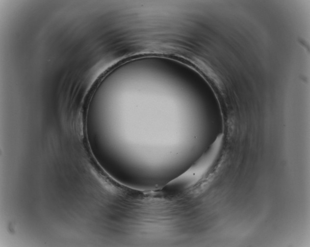 X0000097900838200803141353