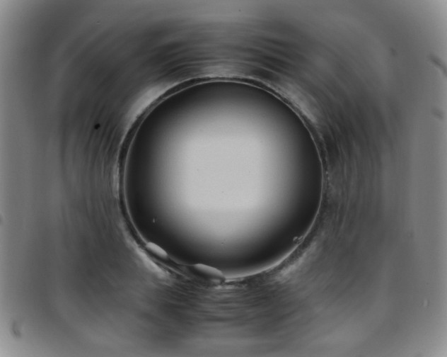 X0000097900839200803141353