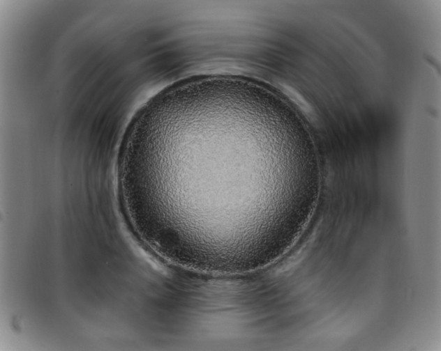 X0000097900840200803141353