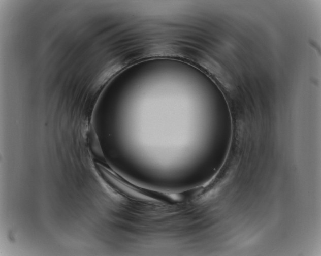 X0000097900841200803141353