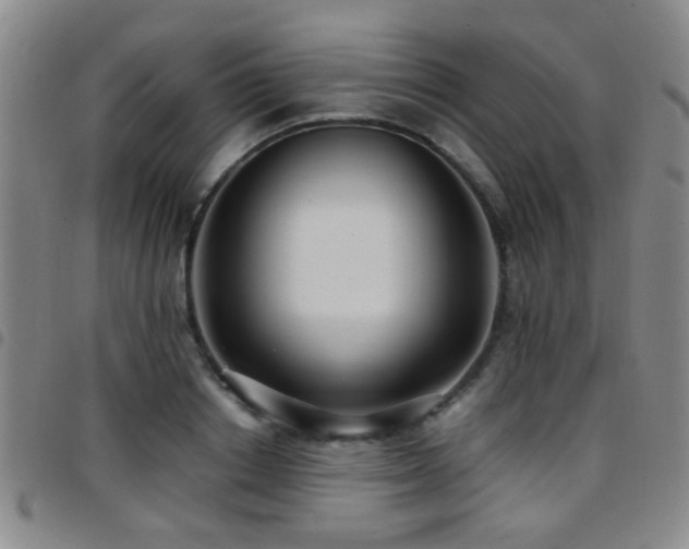X0000097900842200803141353