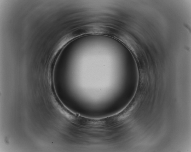 X0000097900843200803141353
