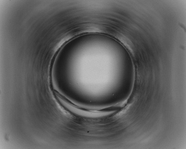 X0000097900845200803141353