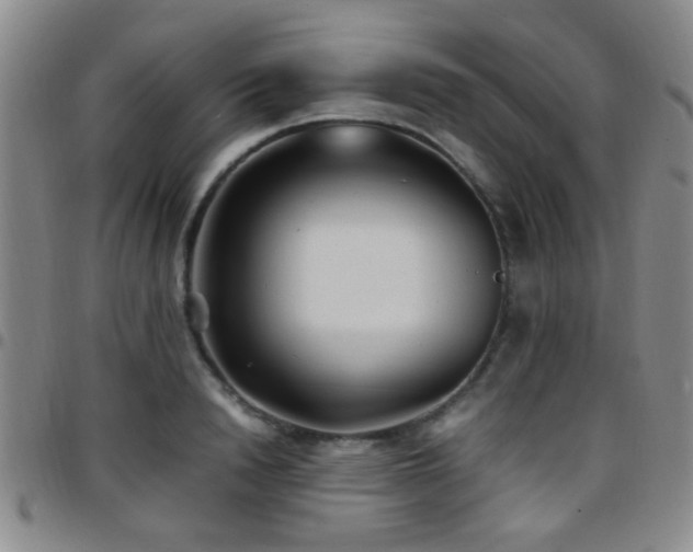X0000097900846200803141353