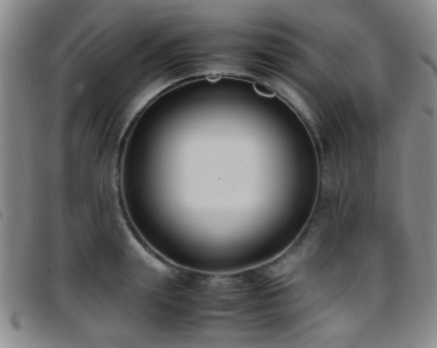 X0000097900847200803141353