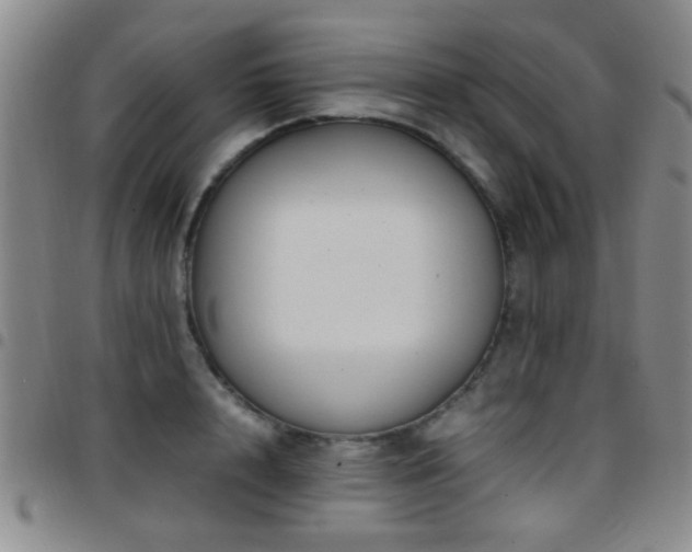 X0000097900848200803141353