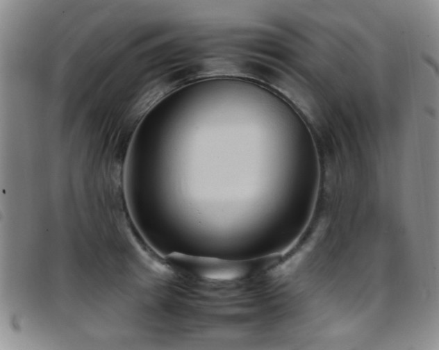 X0000097900849200803141353
