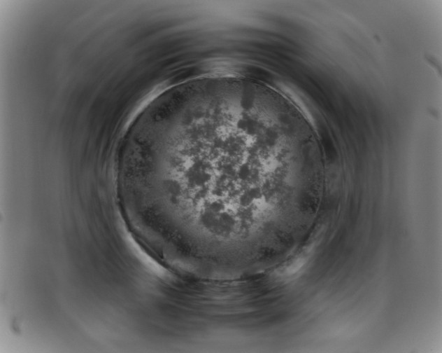 X0000097900851200803141353