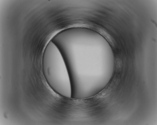 X0000097900852200803141353