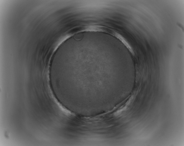 X0000097900853200803141353