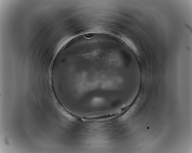 X0000097900854200803141353
