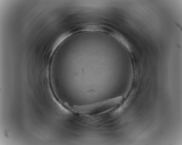 X0000097900855200803141353