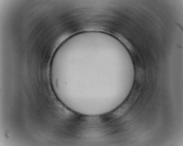 X0000097900856200803141353
