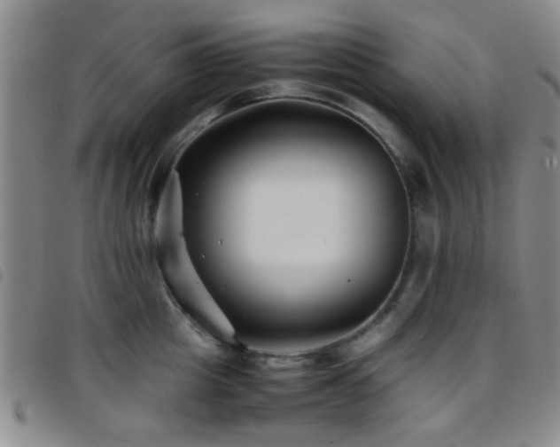 X0000097900857200803141353