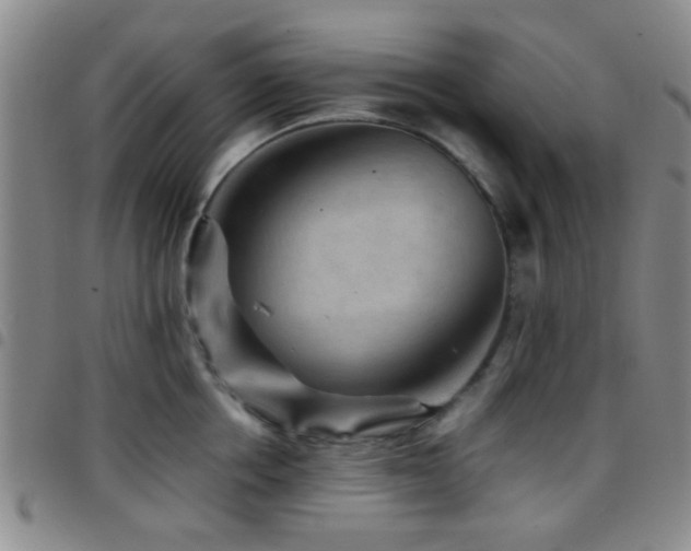 X0000097900858200803141353