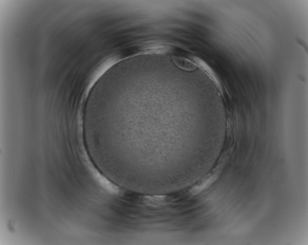 X0000097900859200803141353