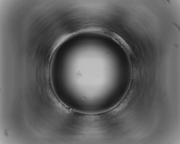 X0000097900860200803141353
