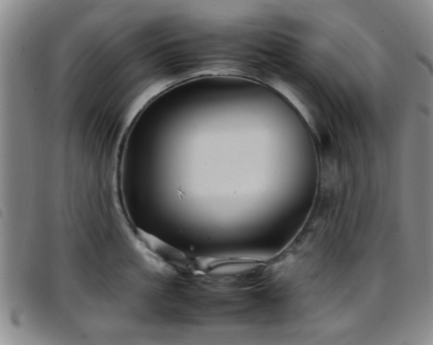 X0000097900861200803141353