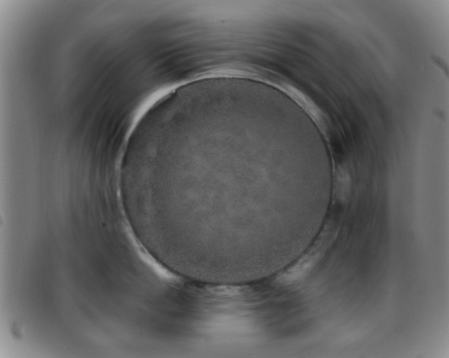 X0000097900862200803141353
