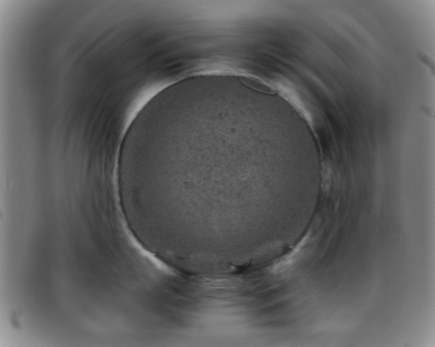 X0000097900863200803141353