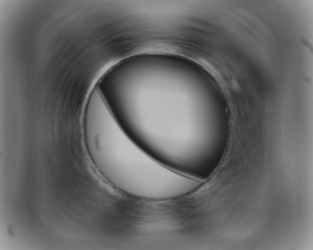 X0000097900864200803141353