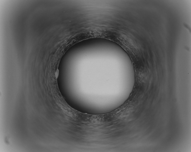 X0000097900865200803141352