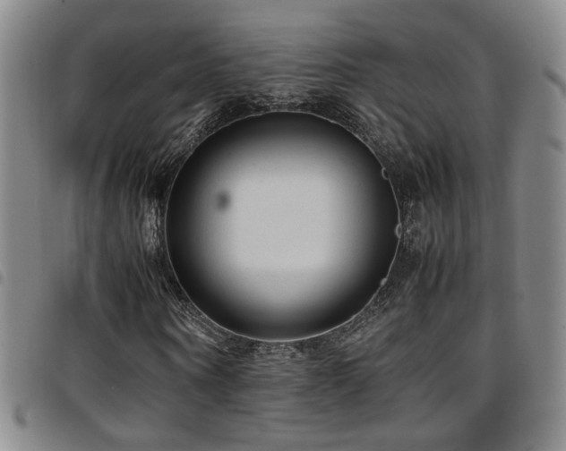 X0000097900866200803141352
