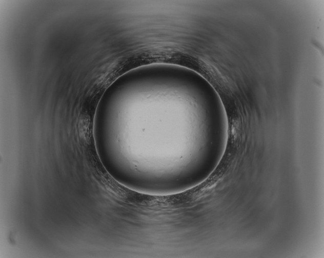 X0000097900867200803141352