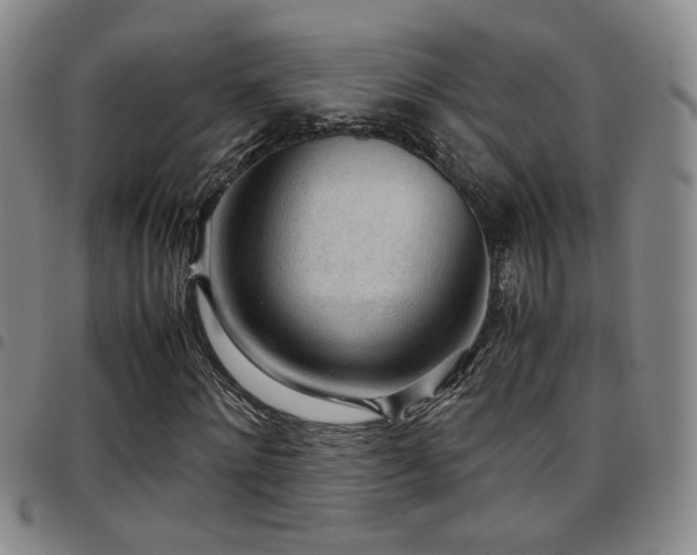 X0000097900868200803141352