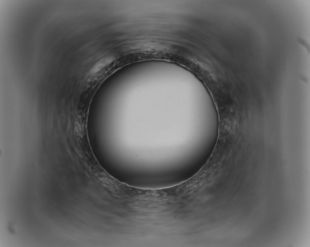 X0000097900869200803141352