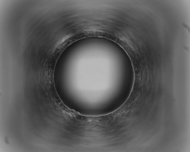 X0000097900870200803141352
