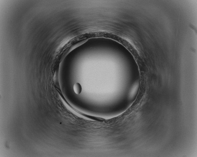 X0000097900871200803141352