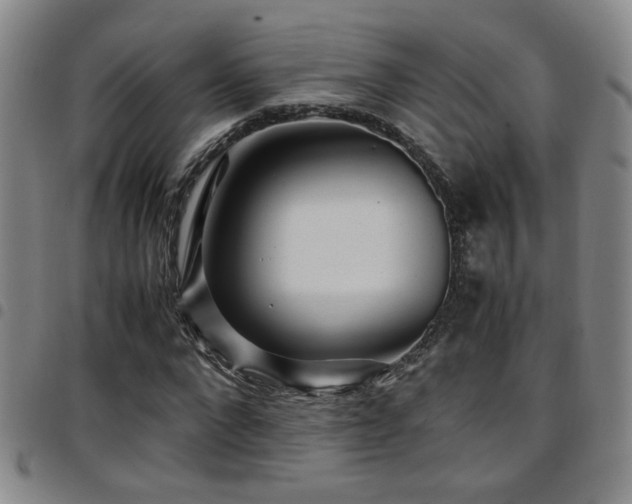 X0000097900872200803141352