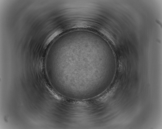 X0000097900874200803141352
