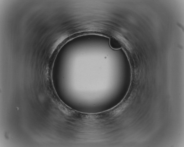 X0000097900875200803141352