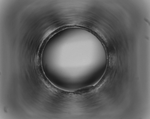 X0000097900876200803141352