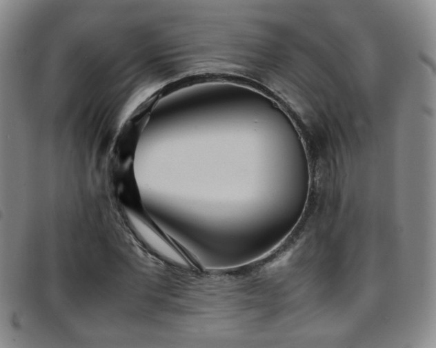X0000097900877200803141352
