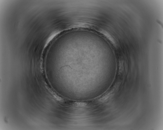X0000097900878200803141352