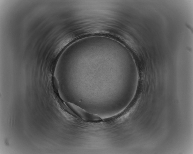 X0000097900881200803141352
