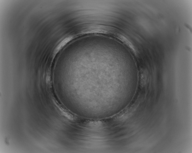 X0000097900882200803141352