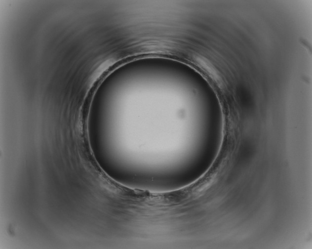X0000097900883200803141352