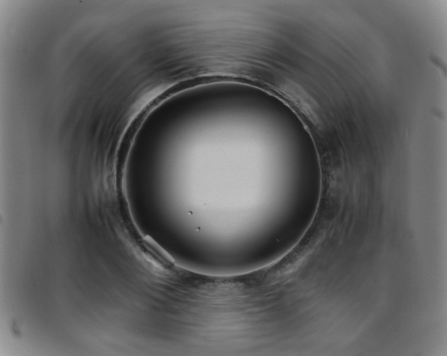X0000097900884200803141352