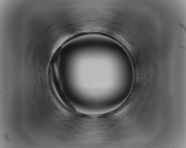 X0000097900885200803141352