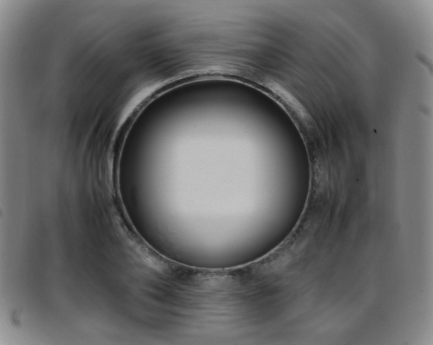 X0000097900886200803141352