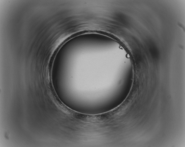 X0000097900887200803141352