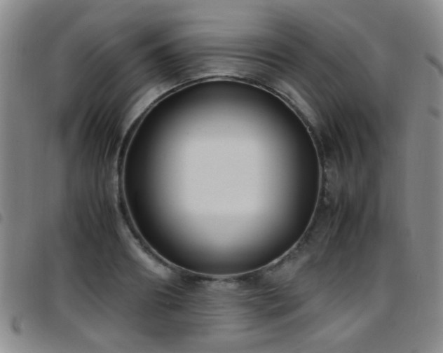X0000097900890200803141352