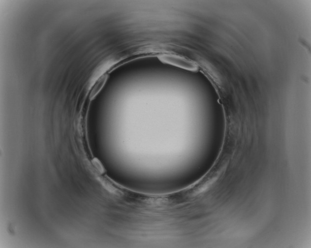 X0000097900893200803141352
