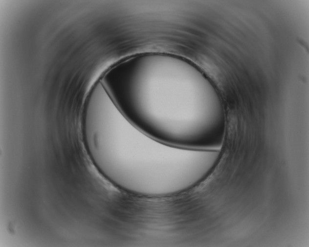 X0000097900896200803141352