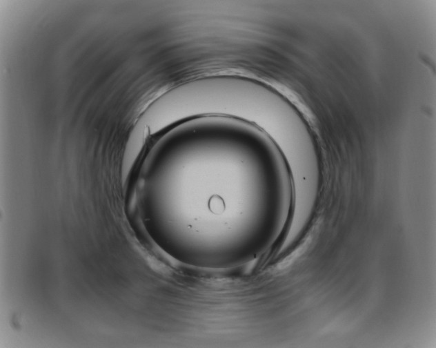 X0000097900897200803141352