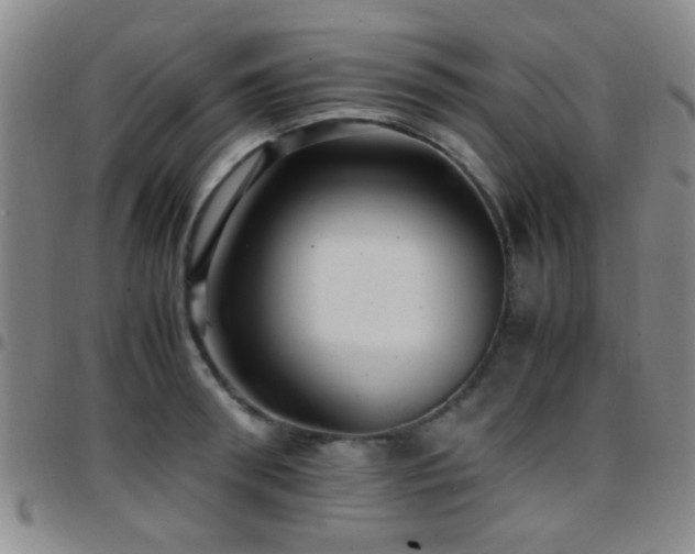 X0000097900898200803141352